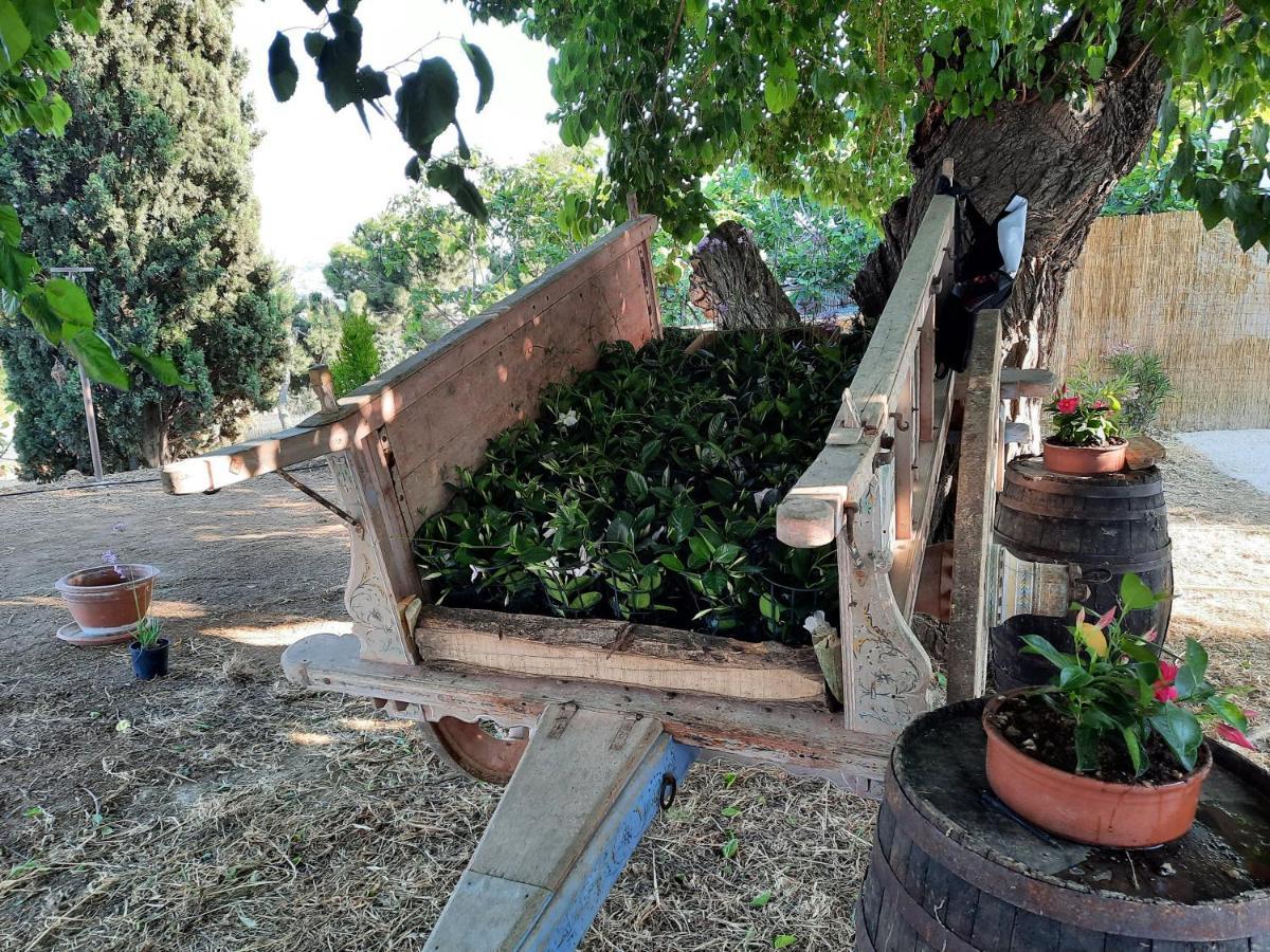 Tenuta Coppa Zuccari Читта-Сант'Анджело Екстер'єр фото
