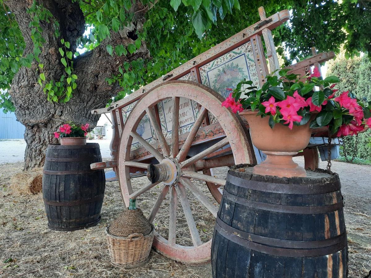 Tenuta Coppa Zuccari Читта-Сант'Анджело Екстер'єр фото