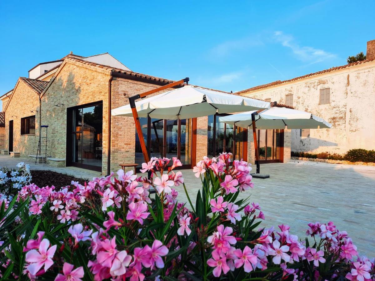 Tenuta Coppa Zuccari Читта-Сант'Анджело Екстер'єр фото